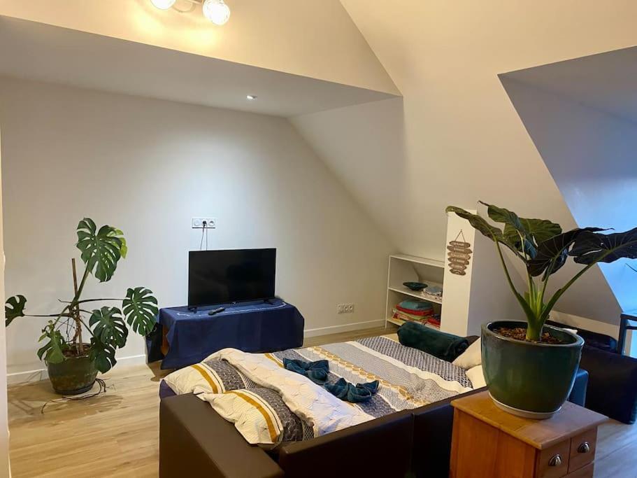 Les Sept Iles Appartement Baden Buitenkant foto